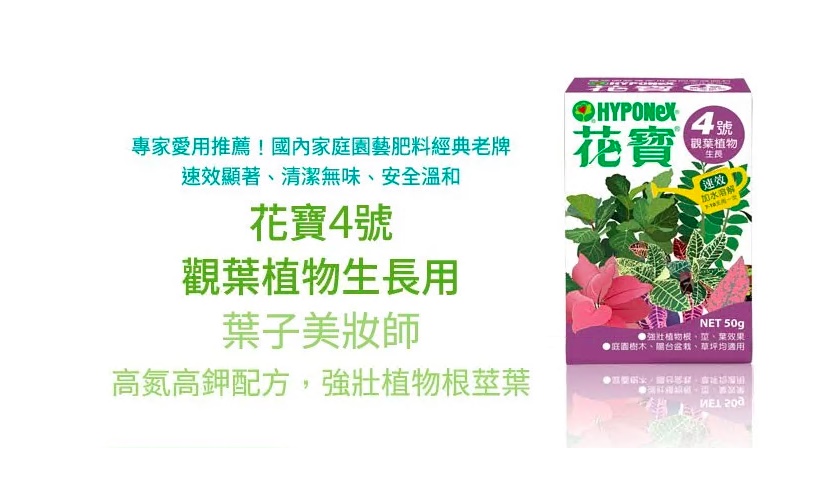 花寶4號觀葉植物50g 水耕營養液 把家變成最好玩的地方